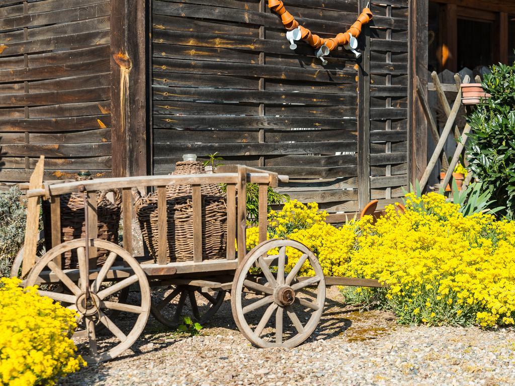 Au Pre Des Poulains Vila Ostheim Exterior foto